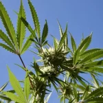 The Critical Role of Corporate Cleaning Services in Houston’s Outpatient Centers